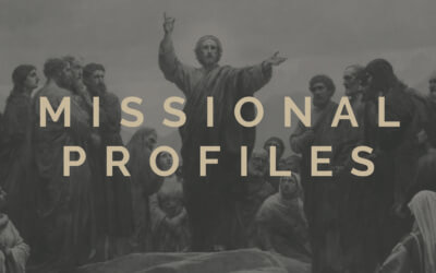 Missional Profiles